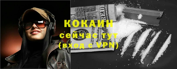 шишки Пересвет