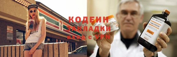 крисы Переславль-Залесский