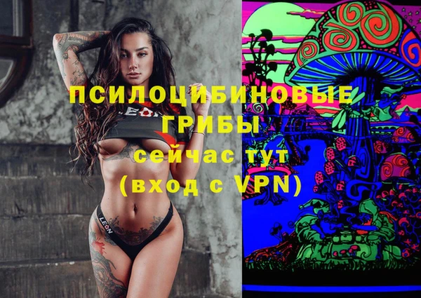твердый Покров