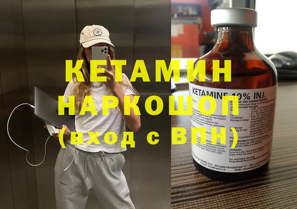 шишки Пересвет