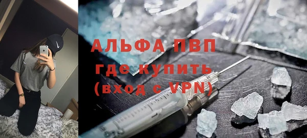 шишки Пересвет